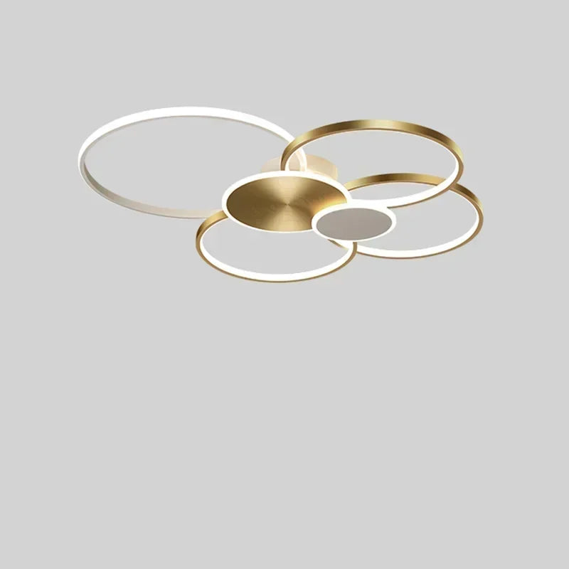 Modern Minimalist Circular Dimming LED Ceiling Light