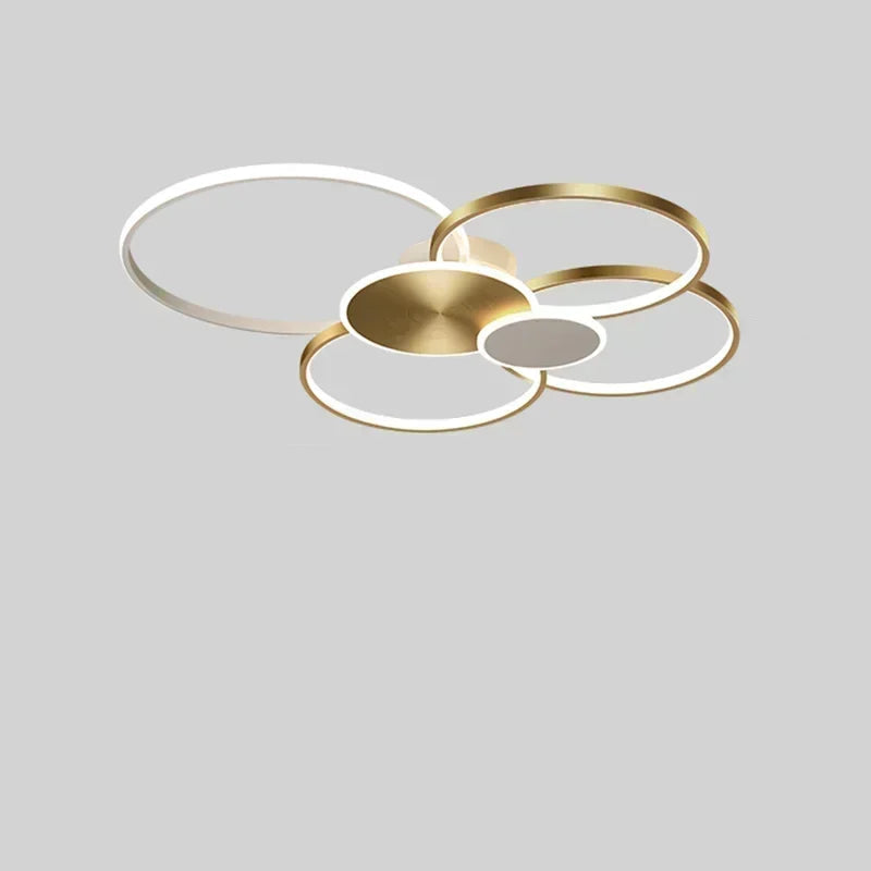 Modern Minimalist Circular Dimming LED Ceiling Light